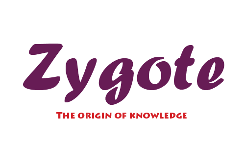 Zygote India